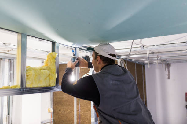 Best Commercial Insulation in Chisago City, MN