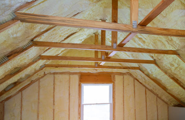 Best Types of Insulation in Chisago City, MN