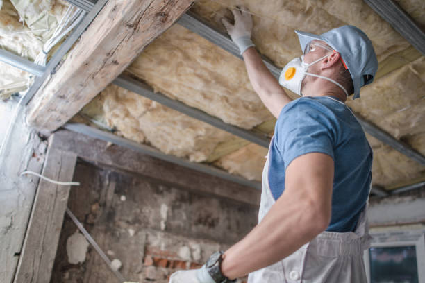 Best Insulation for Specific Applications in Chisago City, MN
